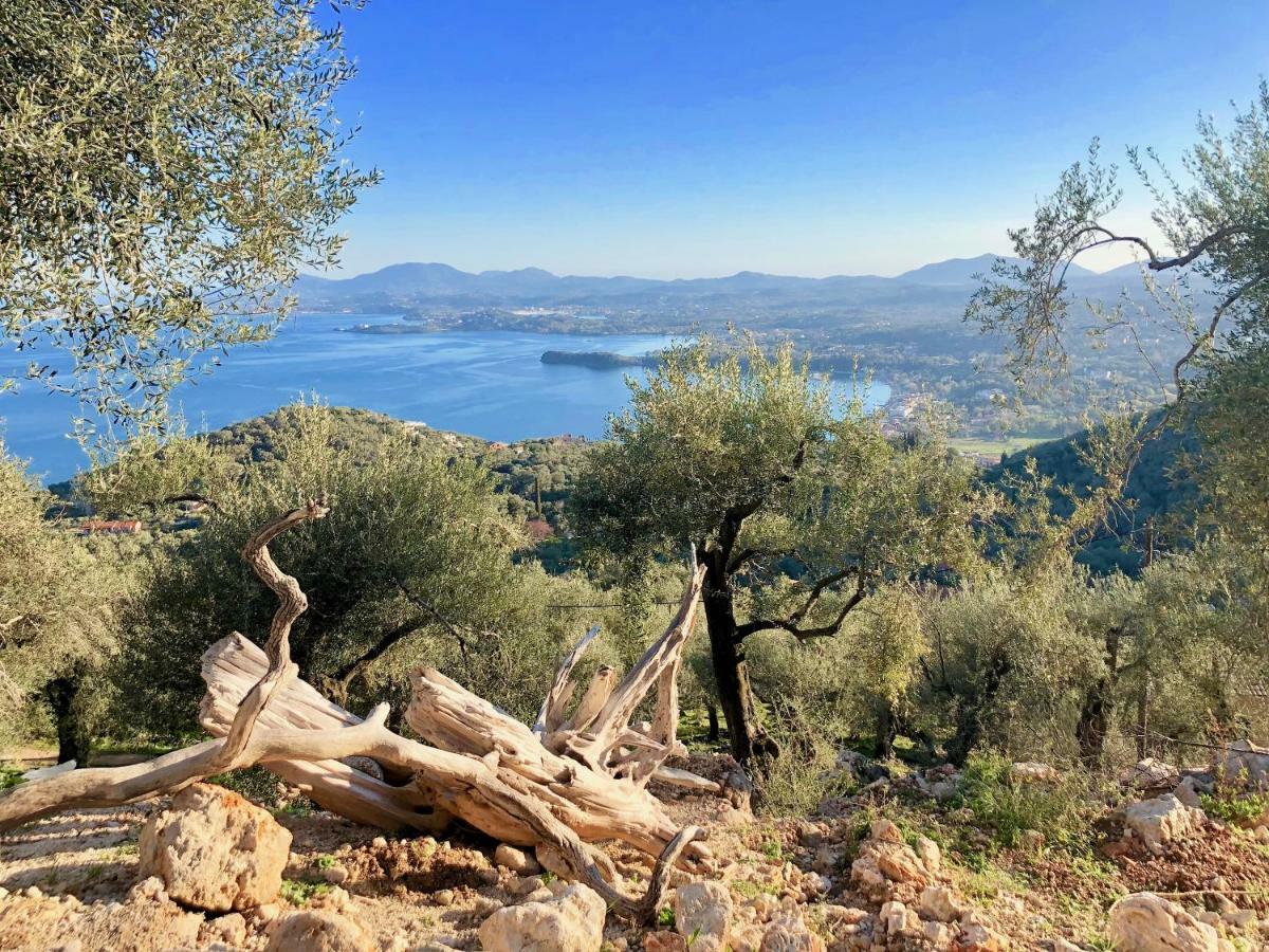 House Teigan Of Villa Intaba Breath Taking Sea Views Corfiot Riviera Corfu Island Greece With Pool Close To Ipsos Beach Pyrgi  エクステリア 写真